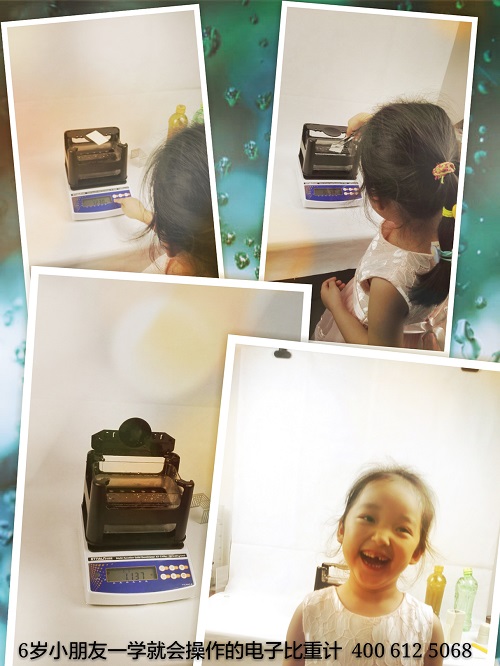 數(shù)顯實(shí)驗(yàn)室用比重計(jì)